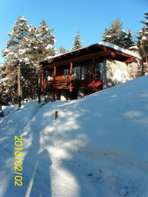 Chalet Vicino a Cortina Borca Di Cadore